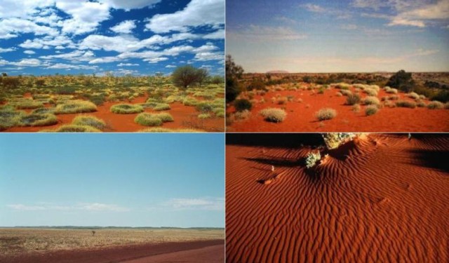 Great Sandy Desert