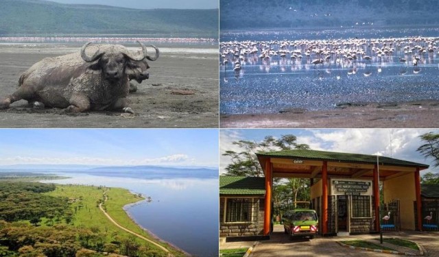 Lake Nakuru, Lake Nakuru Kenya