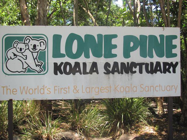 Koala Sanctuary Sign