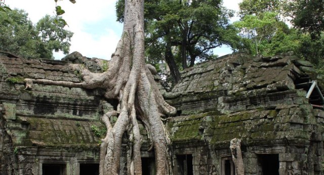 Ta Phrom Angkor Cambodia