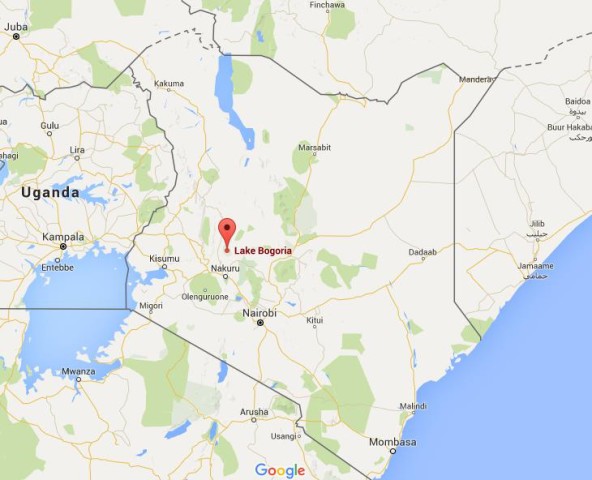 location Lake Bogoria on map Kenya
