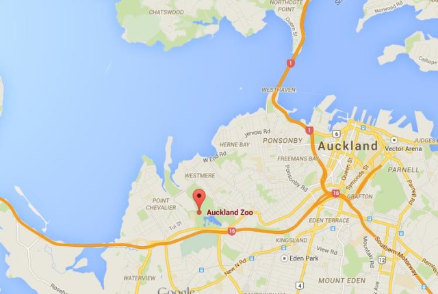 location Zoo on map of Auckland
