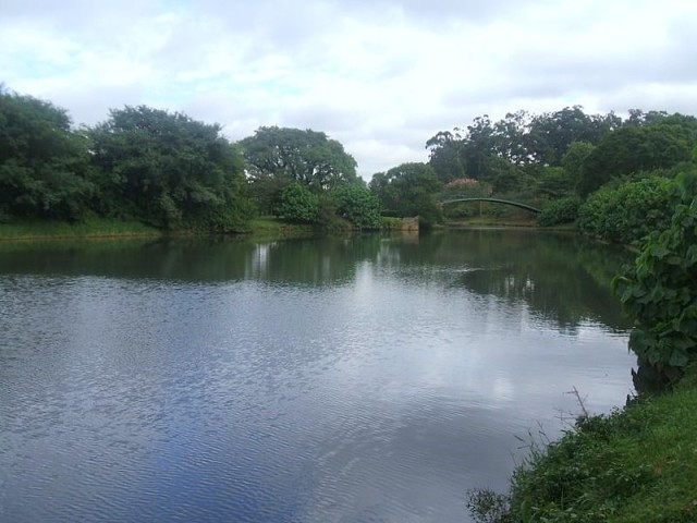 Parque do Ibirapuera SP