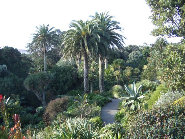 Tresco Abbey Garden Scilly