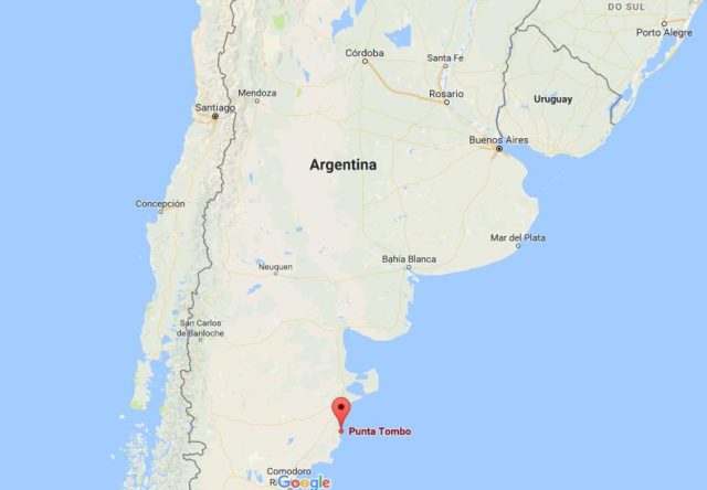 location-punta-tumbo-on-map-argentina