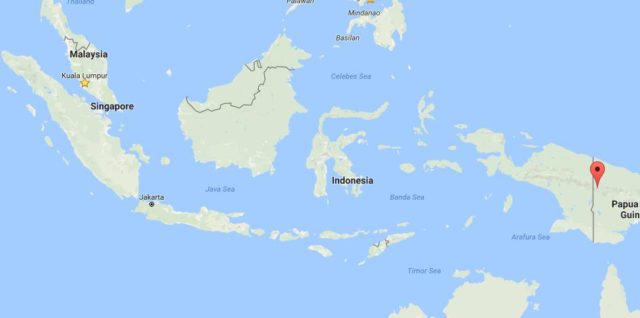 Location of New Guinea on map Indonesia