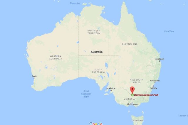 Location Barmah National Park on map Australia