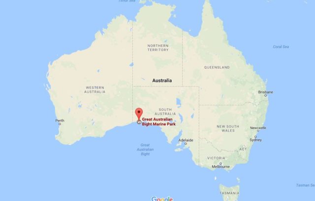 Location Great Australian Bight Marine Park on map AustraliaWhere is Great Australian Bight Marine Park on map Australia