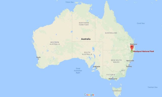 Location Washpool National Park on map Australia