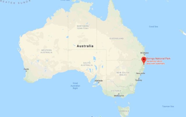 Location of Dorrigo National Park on map of Australia