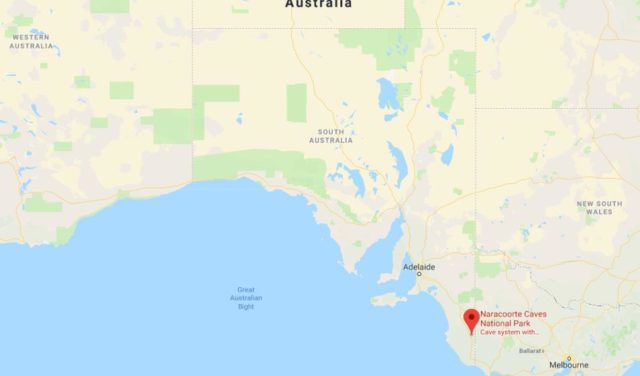 Location of Naracoorte Caves National Park on map of South Australia