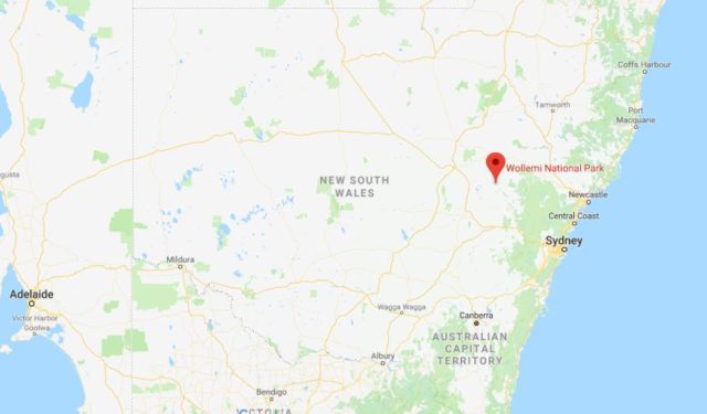 Location of Wollemi National Park on map of New South Wales