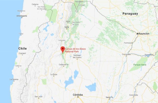 Where is Campo de los Alisos National Park located on map of North Argentina