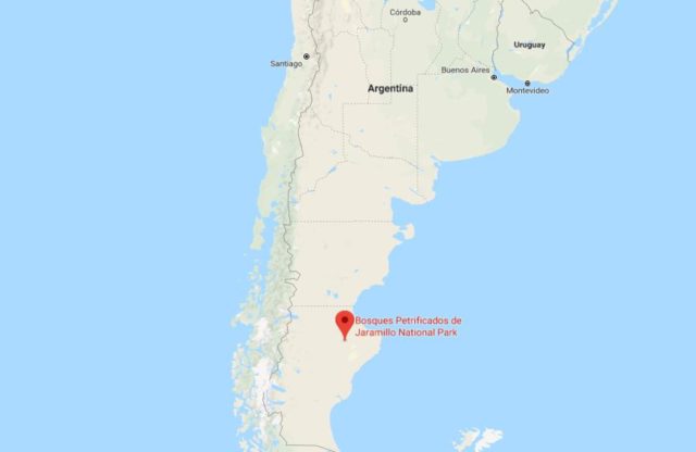 Where is Jaramillo Petrified Forest National Park located on map of Argentina