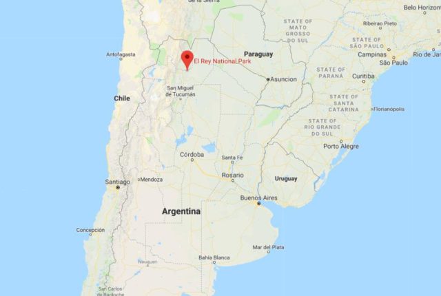 Where is El Rey National Park located on map of Argentina