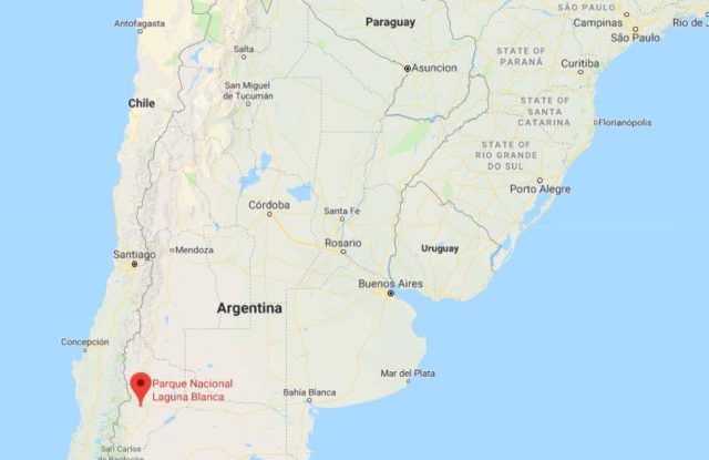 Where is Laguna Blanca National Park located on map of Argentina