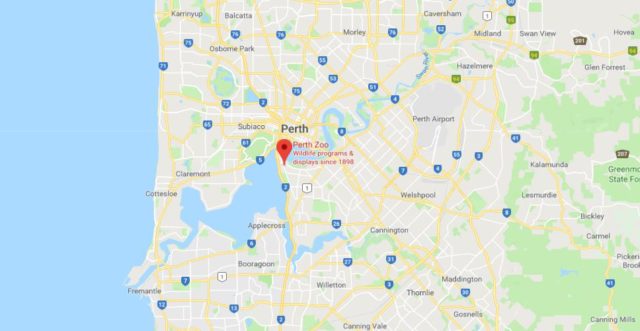 Where is Perth Zoo located on map