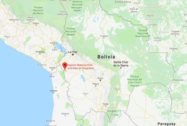 Where is Sajama National Park located on map of Bolivia