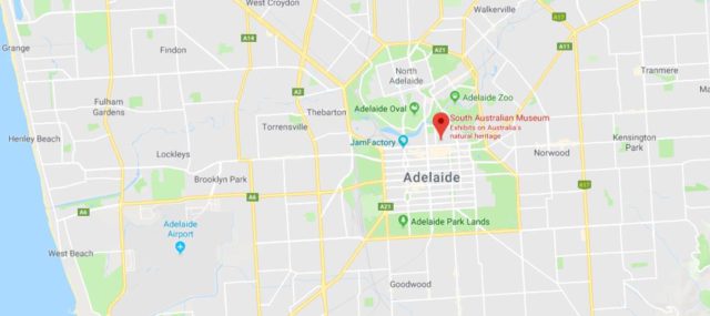 Where is South Australian Museum located on map of Adelaide