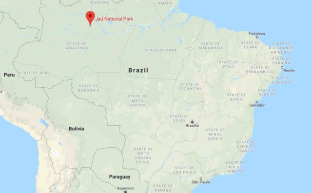 Where is Jau National Park located on map of Brazil