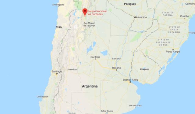 Where is Los Cardones National Park located on map of Argentina