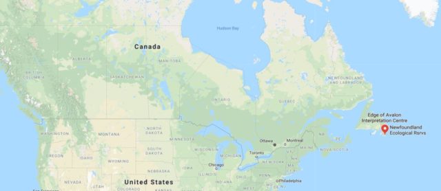 Where is Mistaken Point located on map of Canada