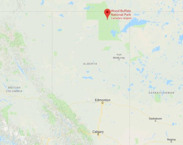 Where is Wood Buffalo National Park located on map of Alberta