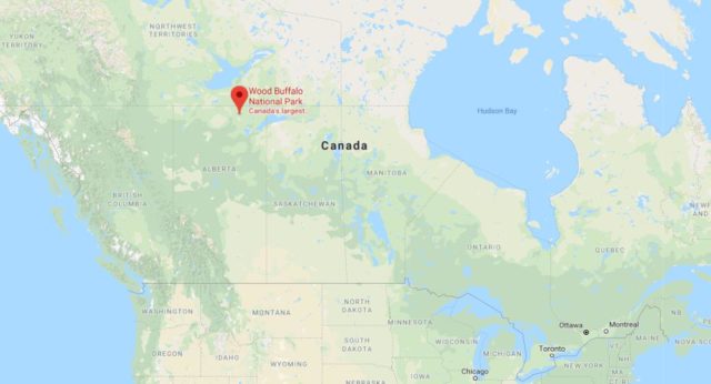 Where is Wood Buffalo National Park located on map of Canada