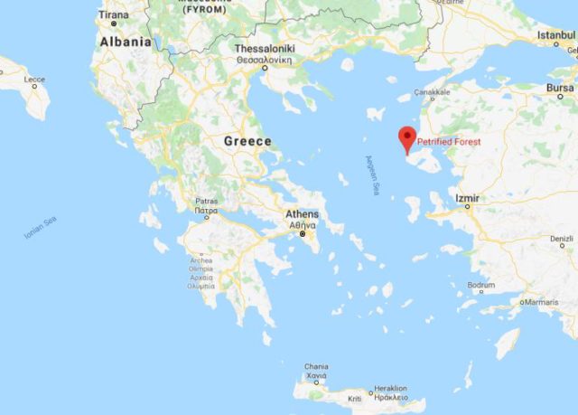 Where is the Petrified Forest located on map of Greece