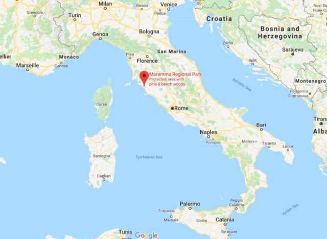 Where is Maremma Regional Park located on map of Italy