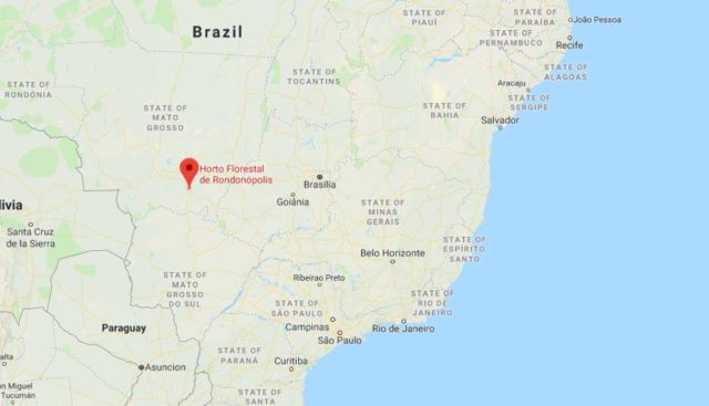 Where is Rondonopolis located on map of Brazil