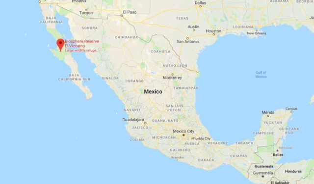 Where is El Vizcaino Biosphere Reserve on map of Mexico
